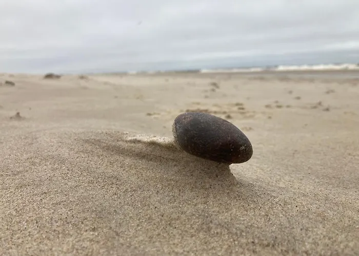 Coffee-cream - Relaks - Sauna I Basen Apartmán